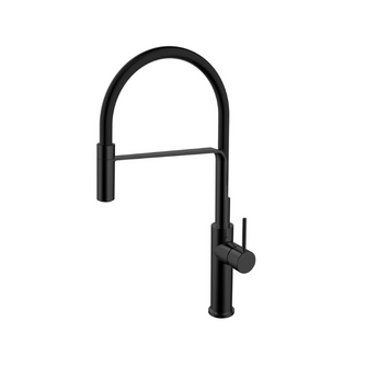 Ikon Hali Black Multi-Function Kitchen Mixer