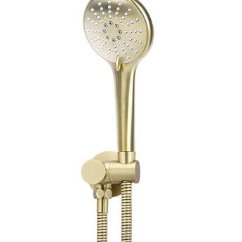 ROUND HAND SHOWER ON SWIVEL BRACKET - PVD